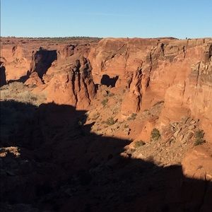 Meet your Posher, Kody